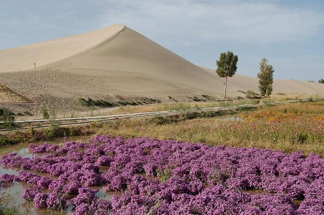 Singing Sand Dunes